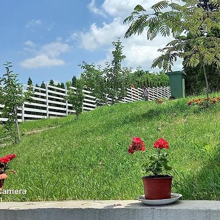Fruskogorska Idila Apartmani Vrdnik Exterior foto